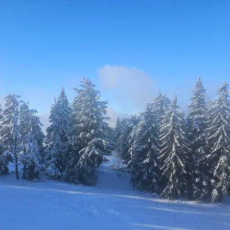 Pogled Contra *