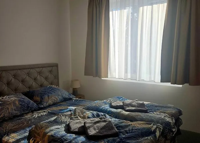 Pogled Contra Kopaonik